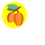 Logo Footer d'Huiles d'argan